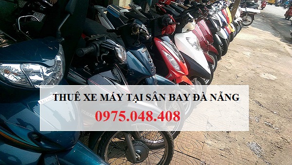 thue-xe-may-tai-da-nang-3-1-1